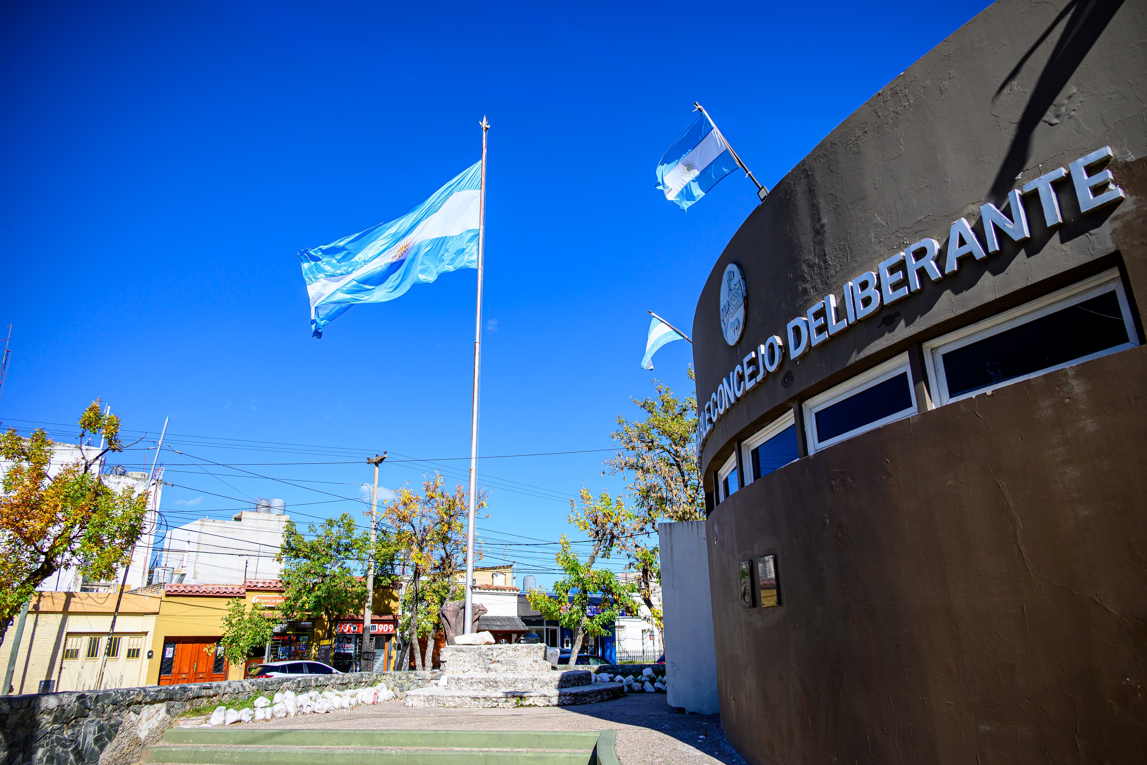 Historia institucional
